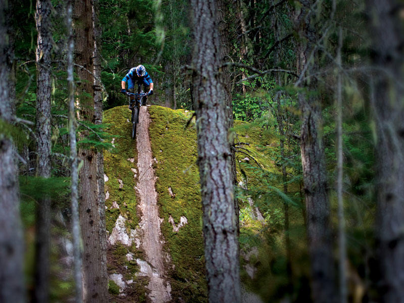 berrecloth in BC