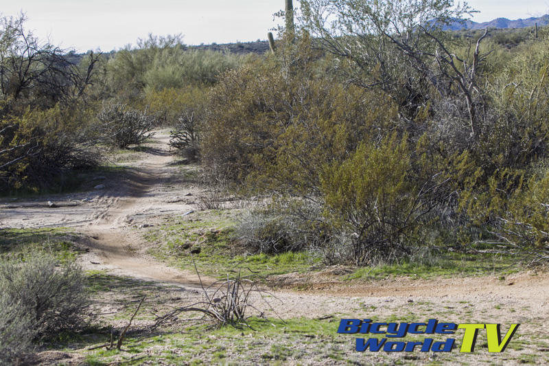desert single track in arizona