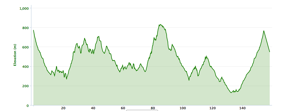 Rincon Race Profile